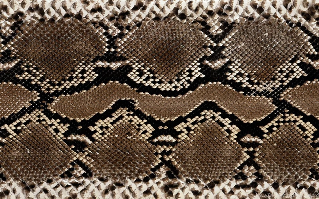 Snake Skin HD Wallpapers.jpg