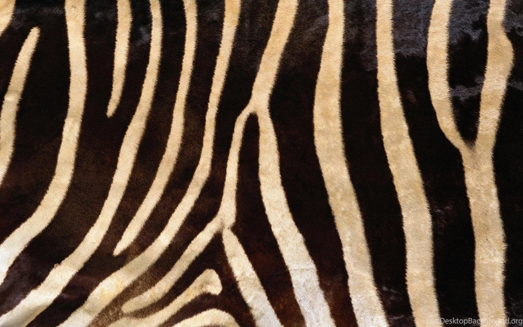 Body, Animals, Background, Pattern, PCtures, Skin, Texture, Tiger ...