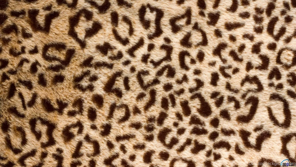 Download Wallpapers Leopard Skin (1920 X 1080 HDTV 1080p). Desktop ...
