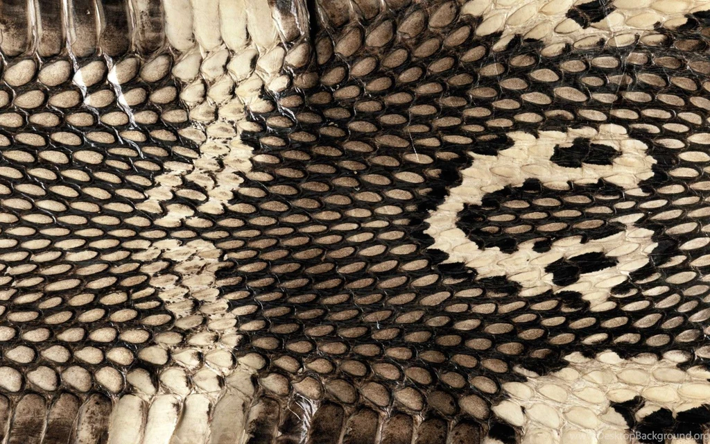 Snake Skin Wallpapers YoYoWallpapers: Download Today's Best HD ...