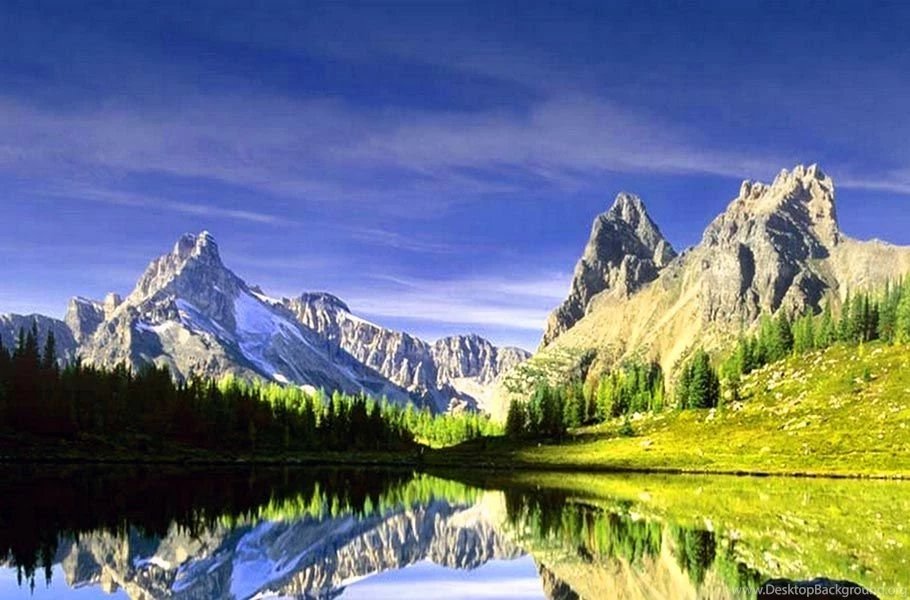 Attractive Amazing Wallpapers
