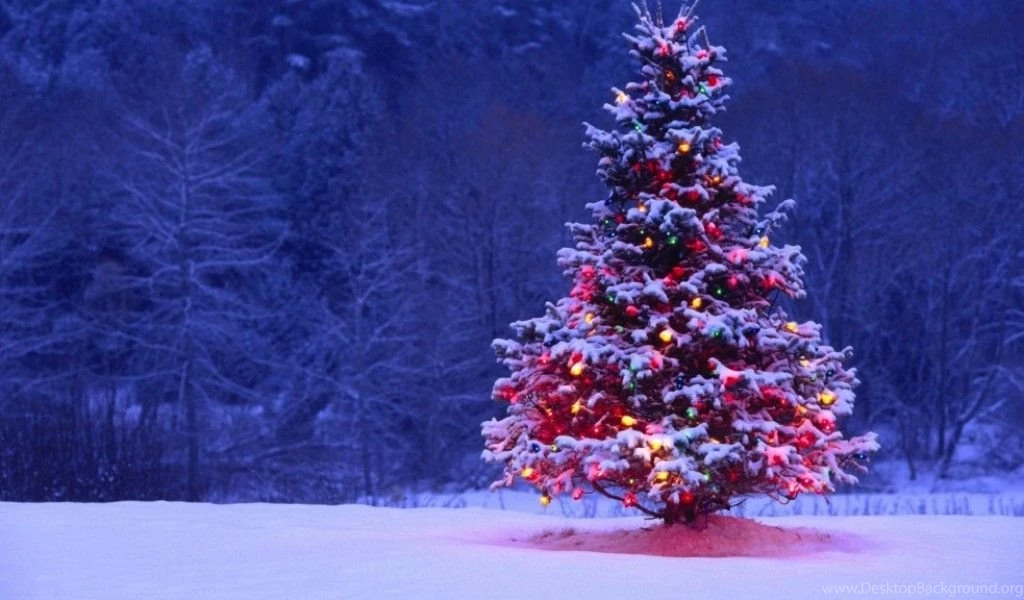 Cute Christmas Wallpapers