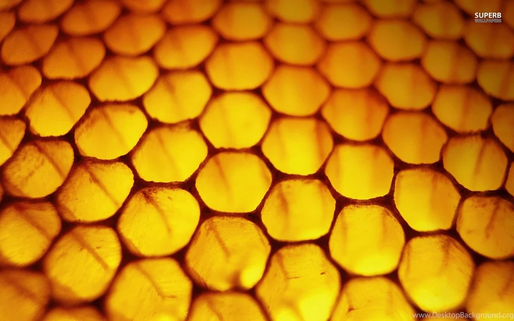 1920x1200px Honeycomb Best Wallpapers