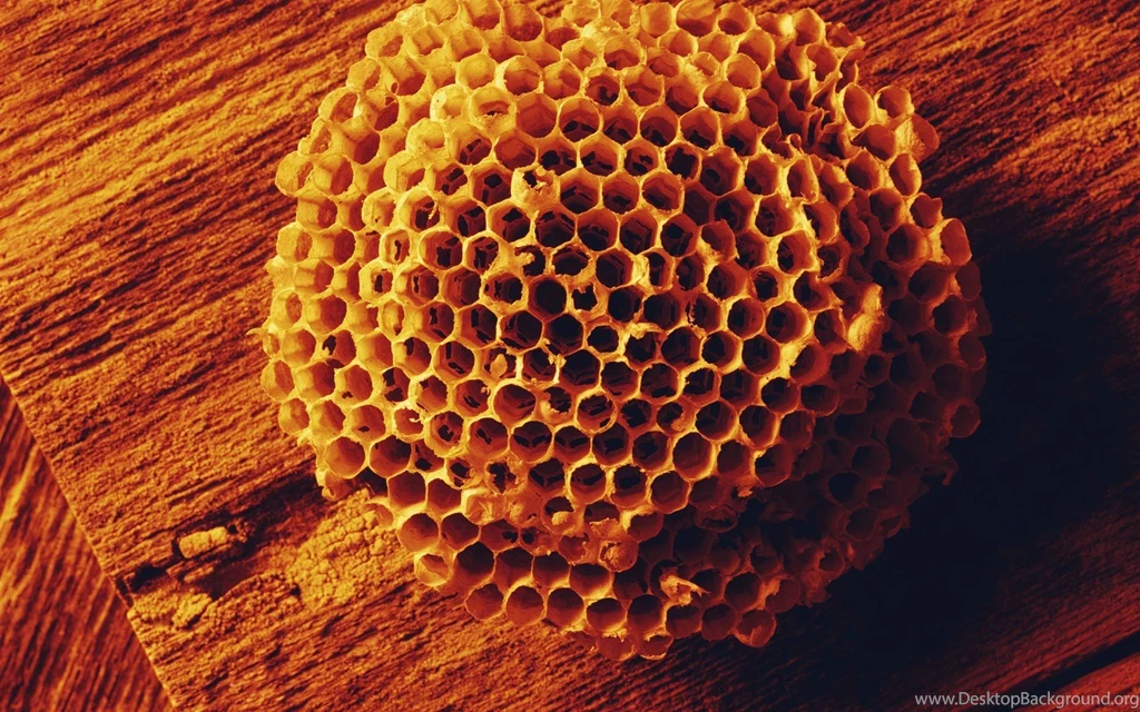 Honeycomb Wallpapers