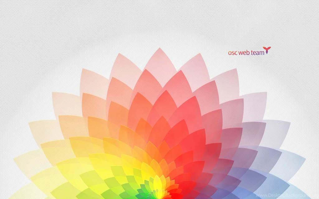 Web Designing Wallpapers   447219