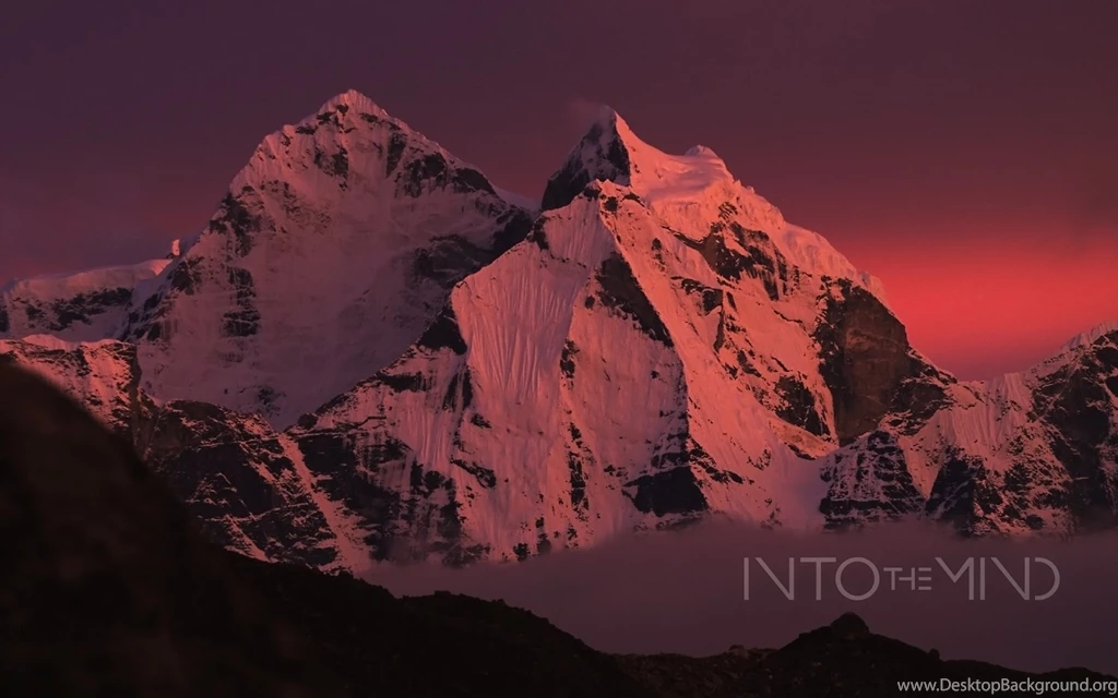 INTO THE MIND :: Sherpas Cinema