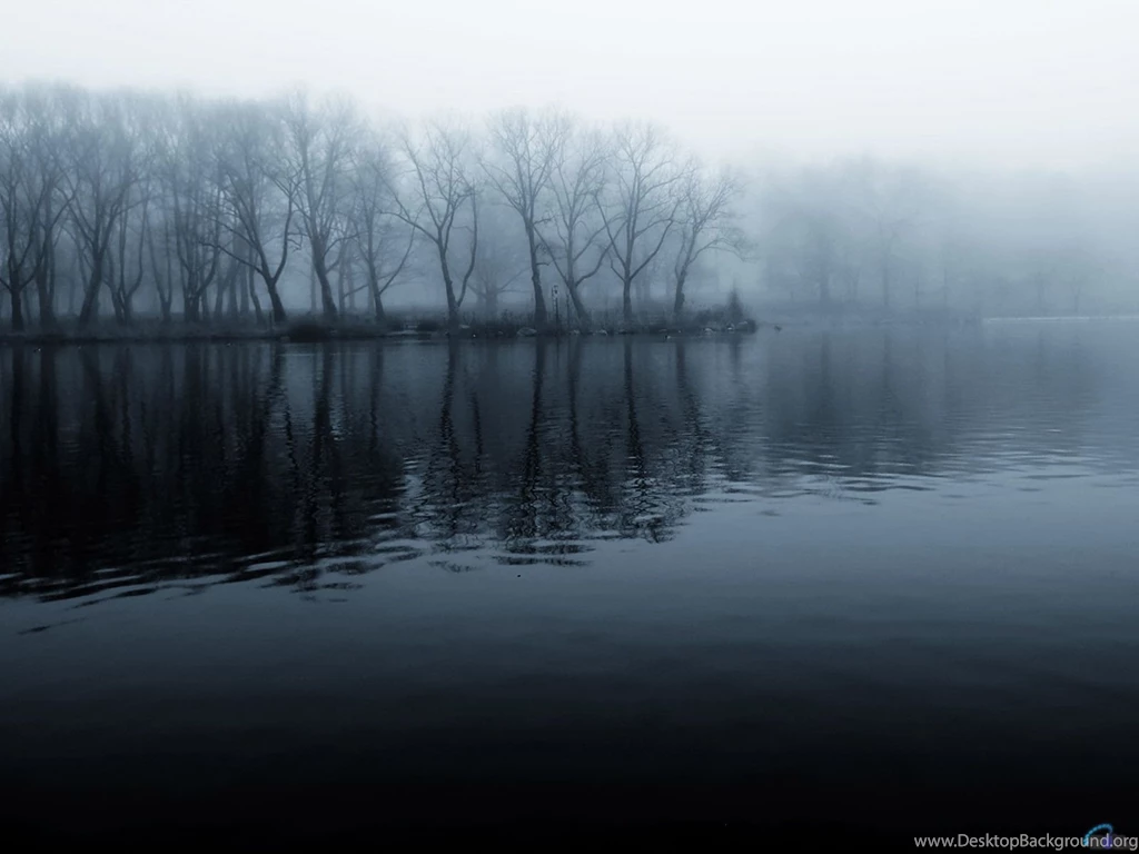 2838) Dark Forest HD Backgrounds Wallpapers Attachment WalOps.com