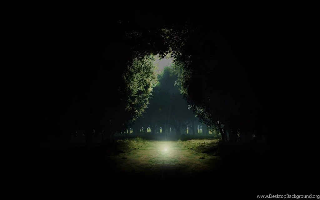 Night Forest (id: 164002) – BUZZERG