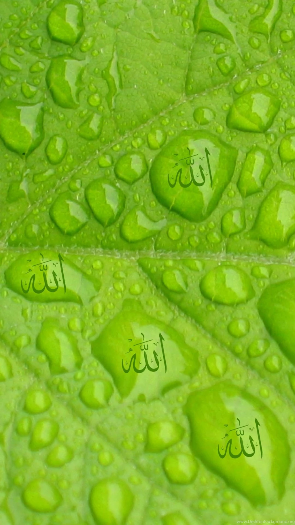 Free Android Galaxy S, Nexus Islamic Wallpapers   Free Islamic Apps