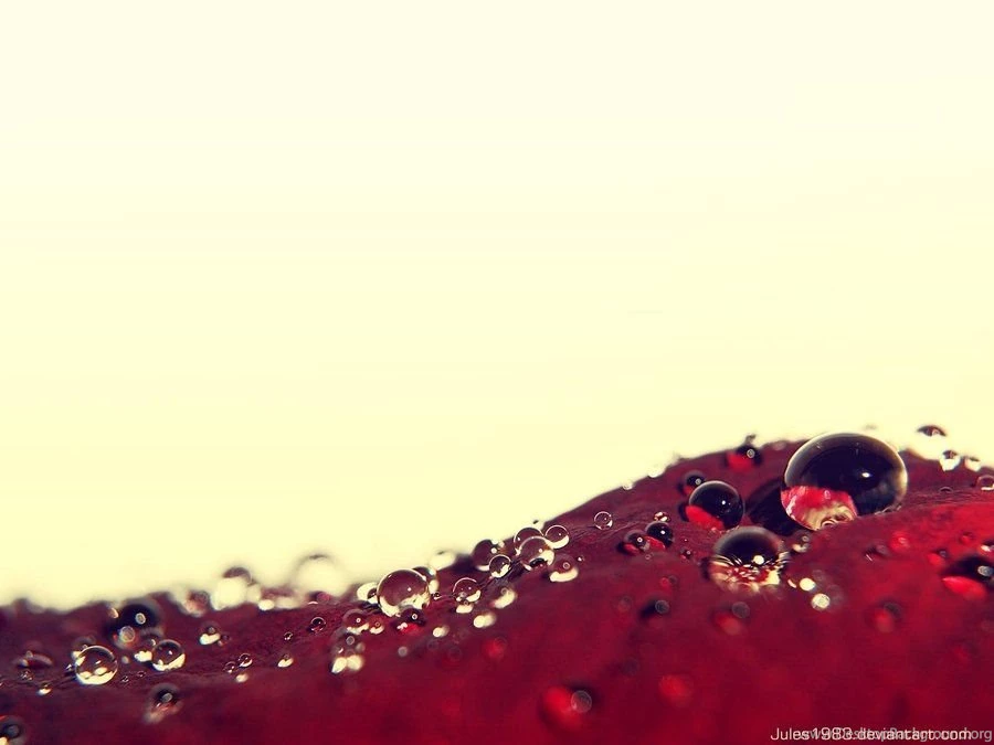 Drop By Drop Wallpapers By Jules1983 On DeviantArt