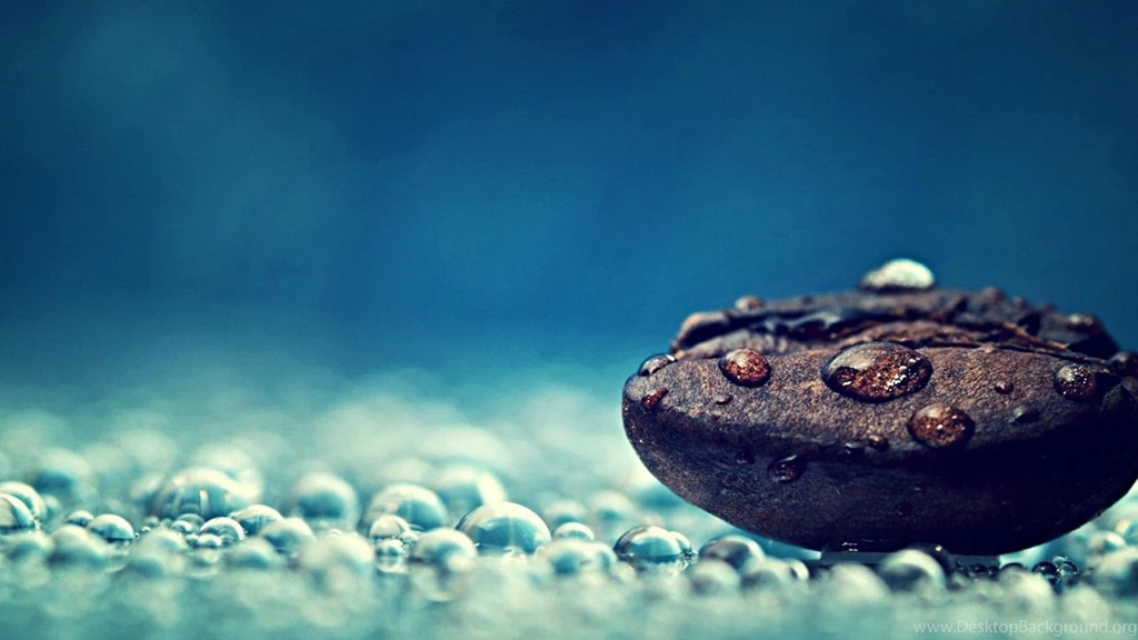 Water Droplets And Seed Macro Photography HD