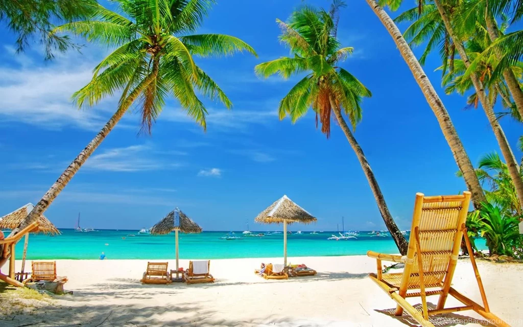HD Desktop Beach View Palm Trees Chairs Wallpapers ...