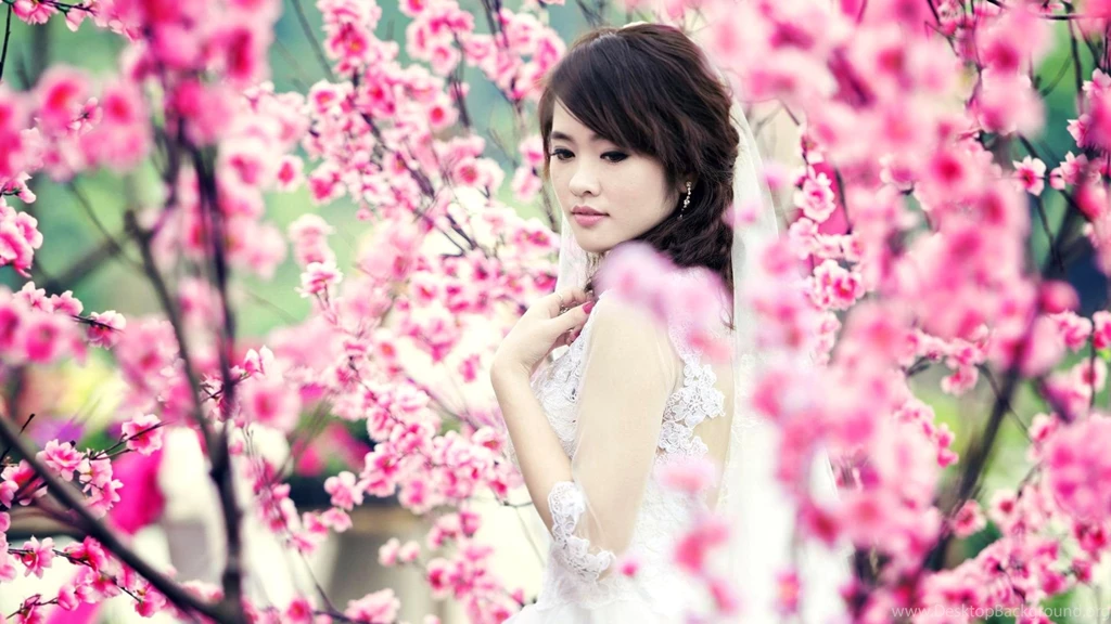 Pink Girly Wallpapers 3 Items