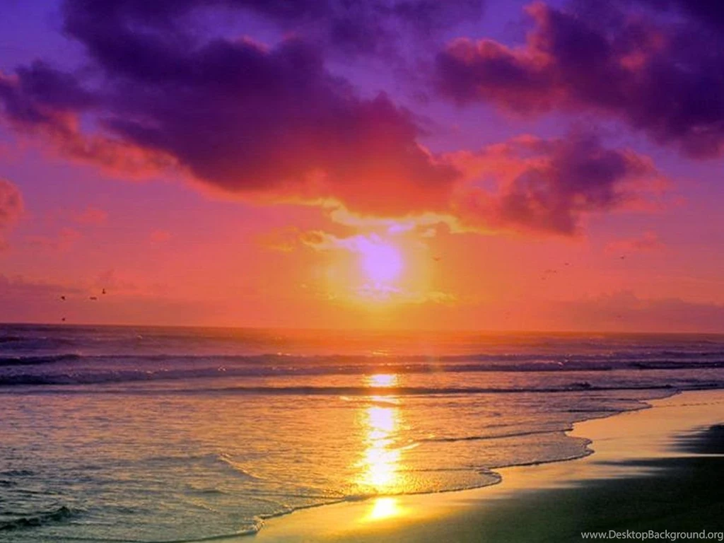 Best Beach Wallpapers   HD Wallpapers And Pictures