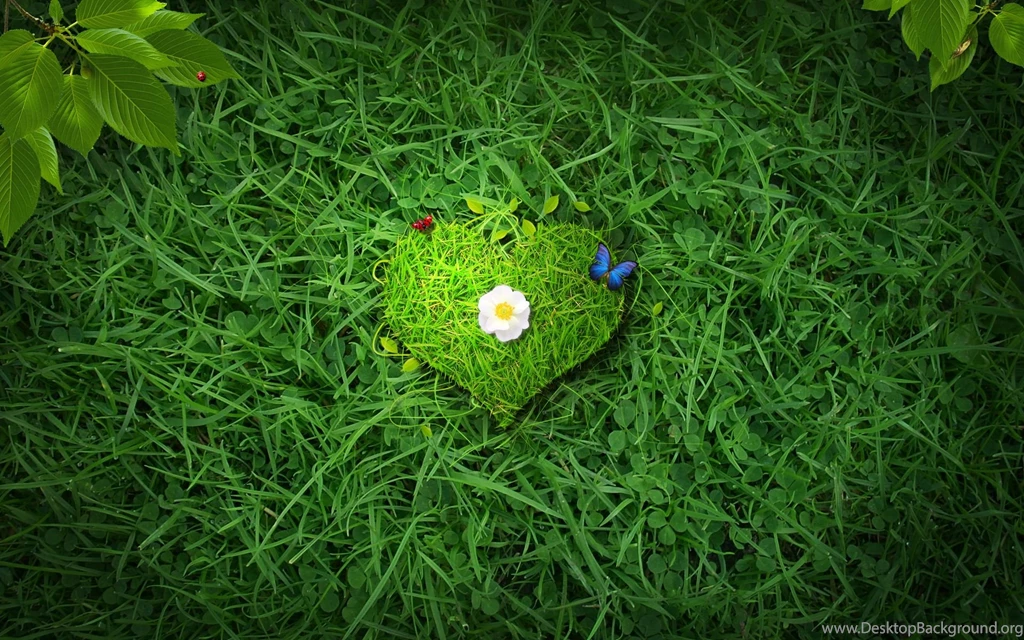 Green Heart By OniRespect On DeviantArt