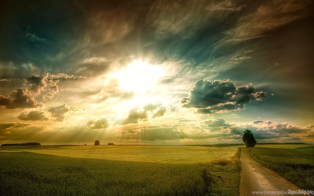 Sunny Fields Ztona Wallpapers