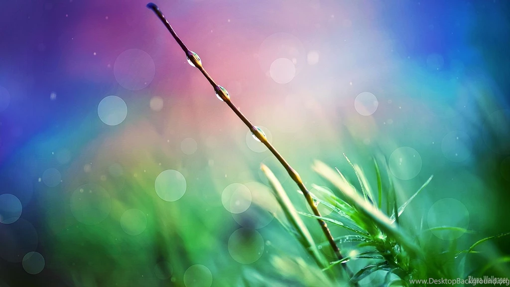 Nature Heaven   Ztona Wallpapers