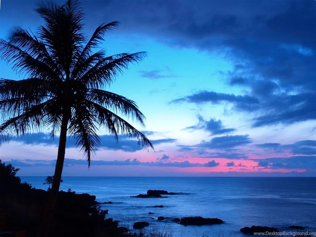Seychelles Beach Sunset   Wallpaper.