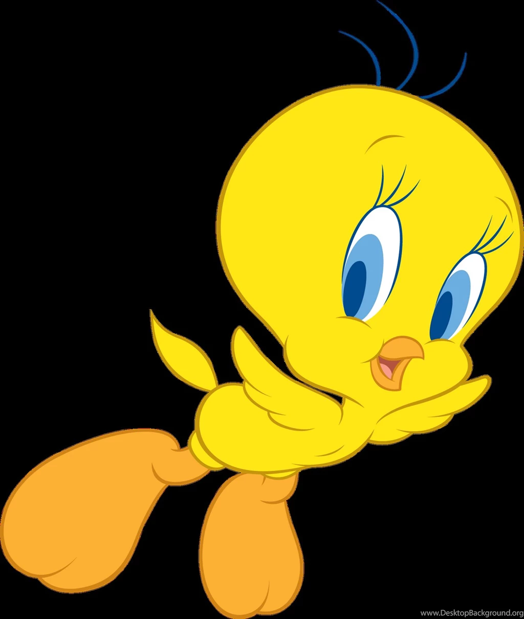 Tweety Bird Wallpapers Wallpapers Cave
