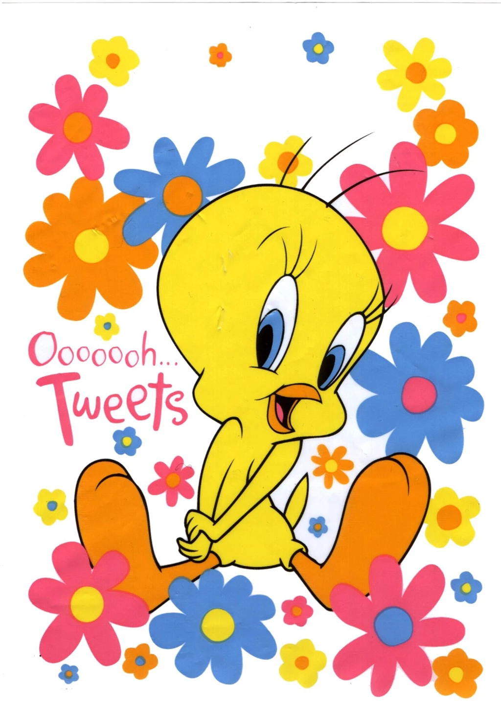 Tweety Cartoon Wallpapers Wallpapers Cave