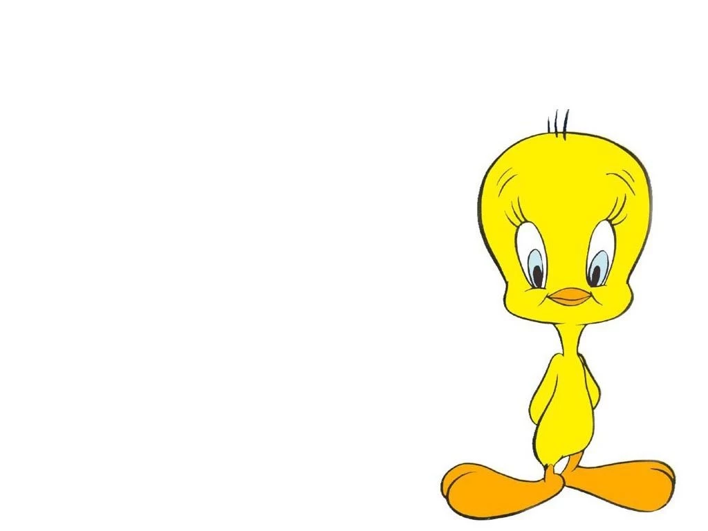 Tweety Bird Wallpapers : Wallpapers 3