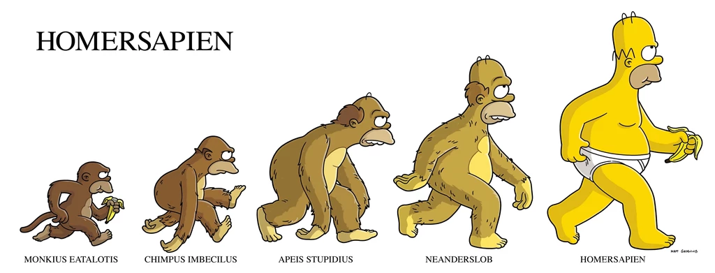 Homer Simpson, Evolution, The Simpsons :: Wallpapers