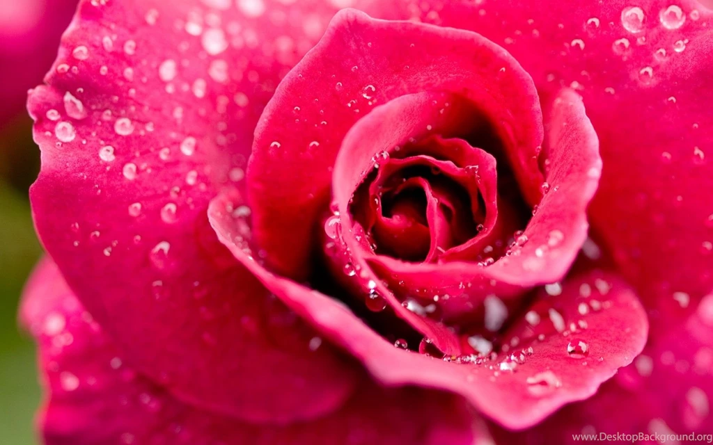 Pretty Wallpapers For Phone Wallpapers 1370466