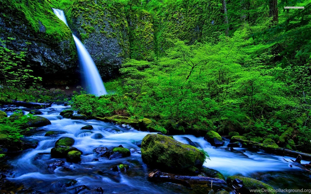 Waterfall And Stream In The Rainforest Wallpapers