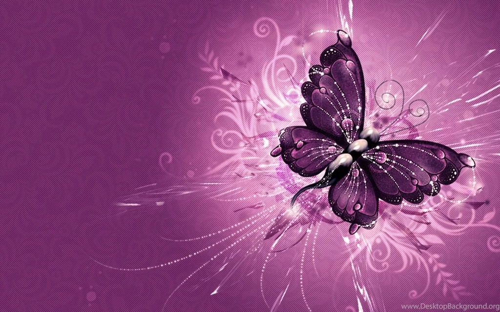 1280x960px Wallpapers Butterfly Art Picture
