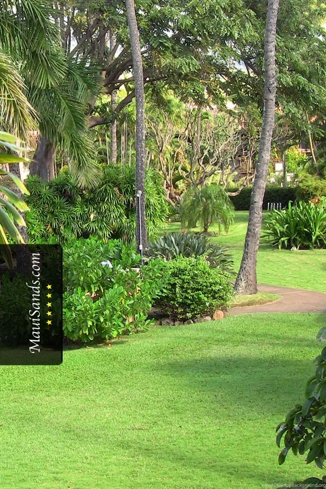 Hawaii Wallpapers From Maui Sands