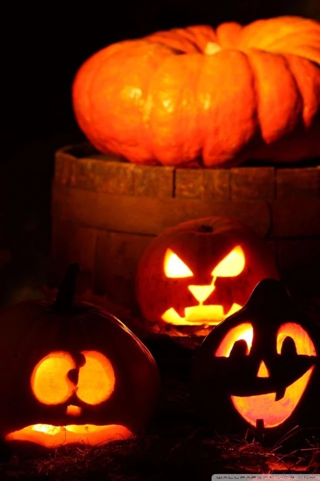 Lighted Halloween Pumpkins HD Desktop Wallpapers : High Definition ...