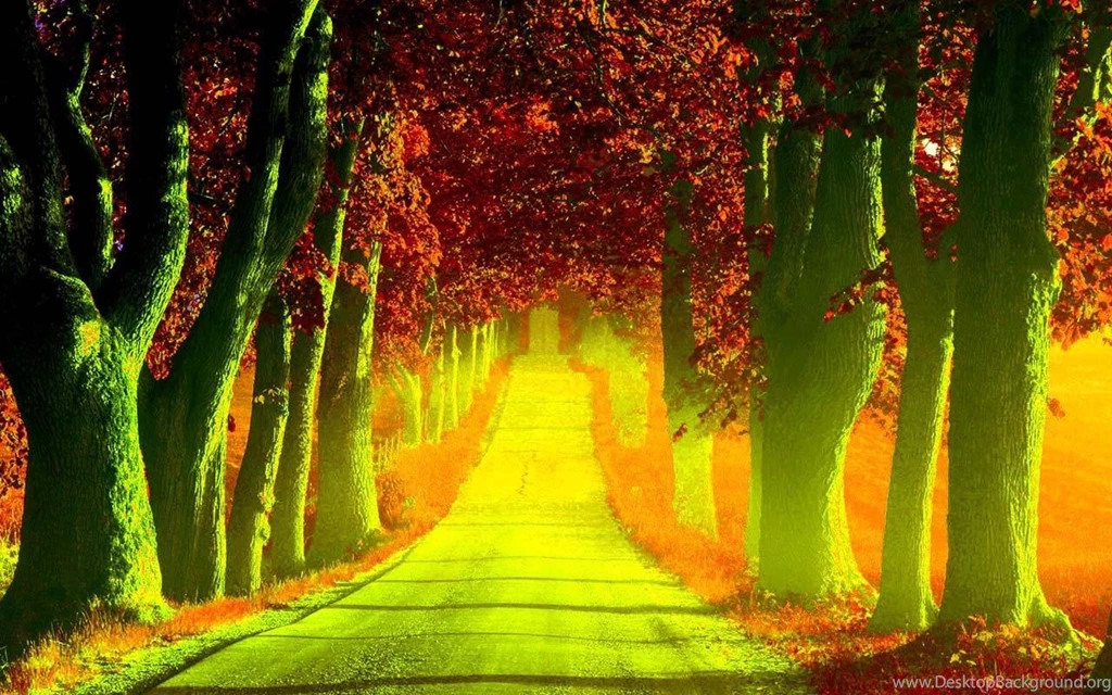 Download 3D Real Depth Forest For Android, 3D Real Depth Forest ...