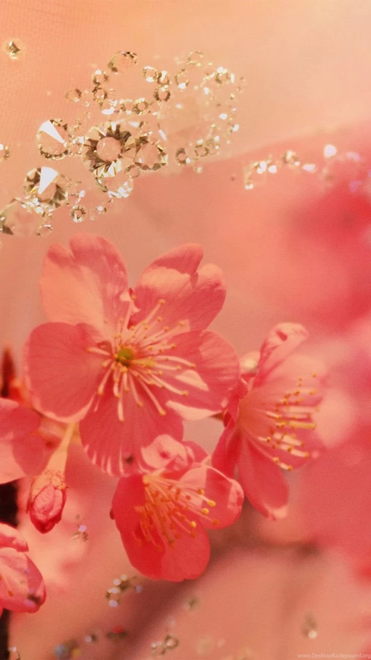 Samsung Galaxy Note 3 Wallpapers Full Screen