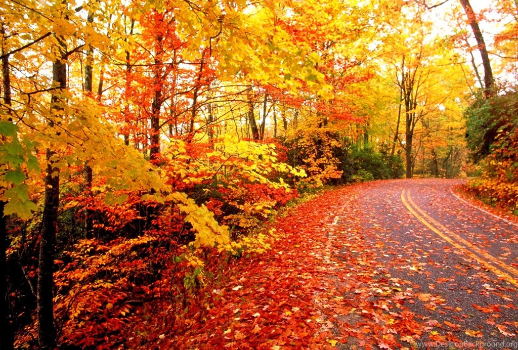 Famous Art Desktop Wallpapers Autumn Photos Of Famous Art Desktop ...