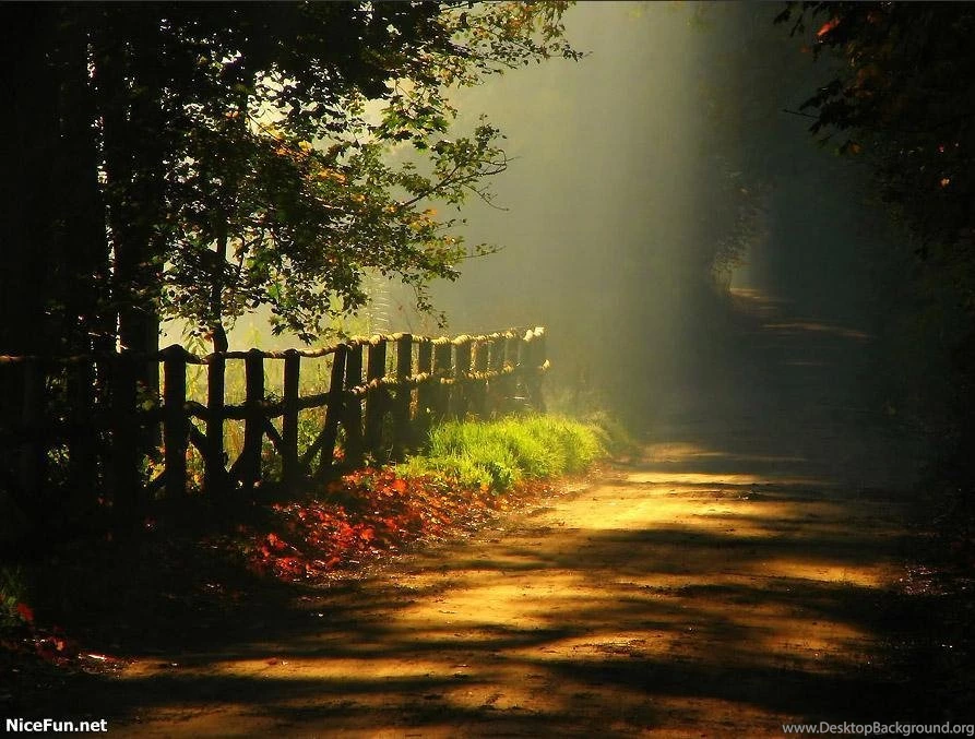 A Beautiful Wallpapers HD Wallpapers Lovely