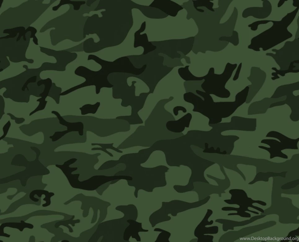 Camouflage: September 2010