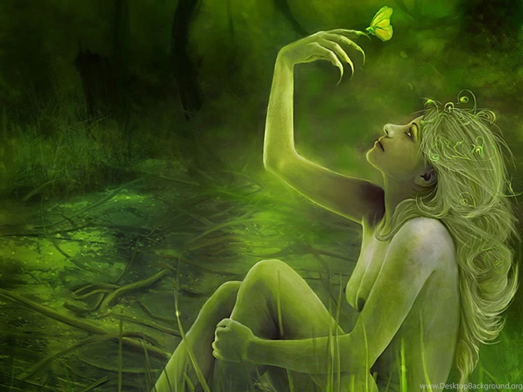 Butterflies Live Wallpapers   Wallpapers HD Fine