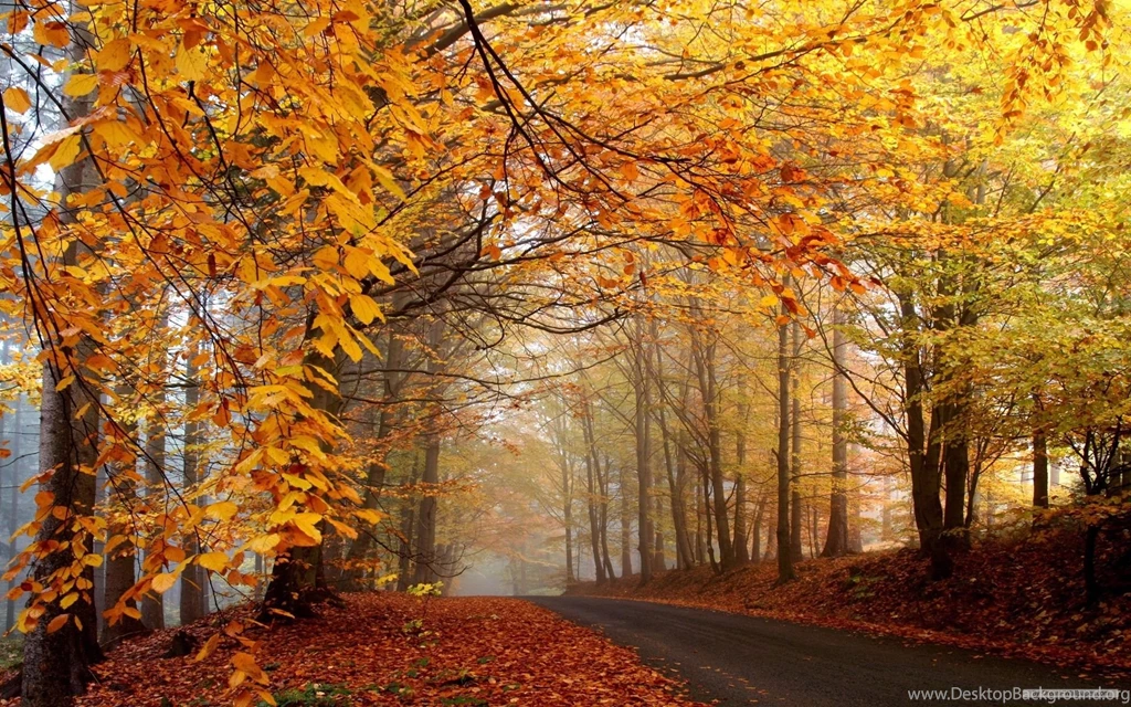 Free Wallpapers Free Nature Wallpapers Autumn Landscape 1 ...
