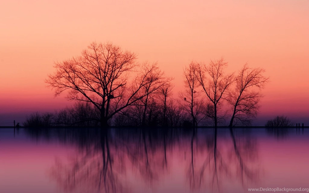 Impressive Shots Of Nature 1920x1200 1920x1200 NO.5 Desktop ...