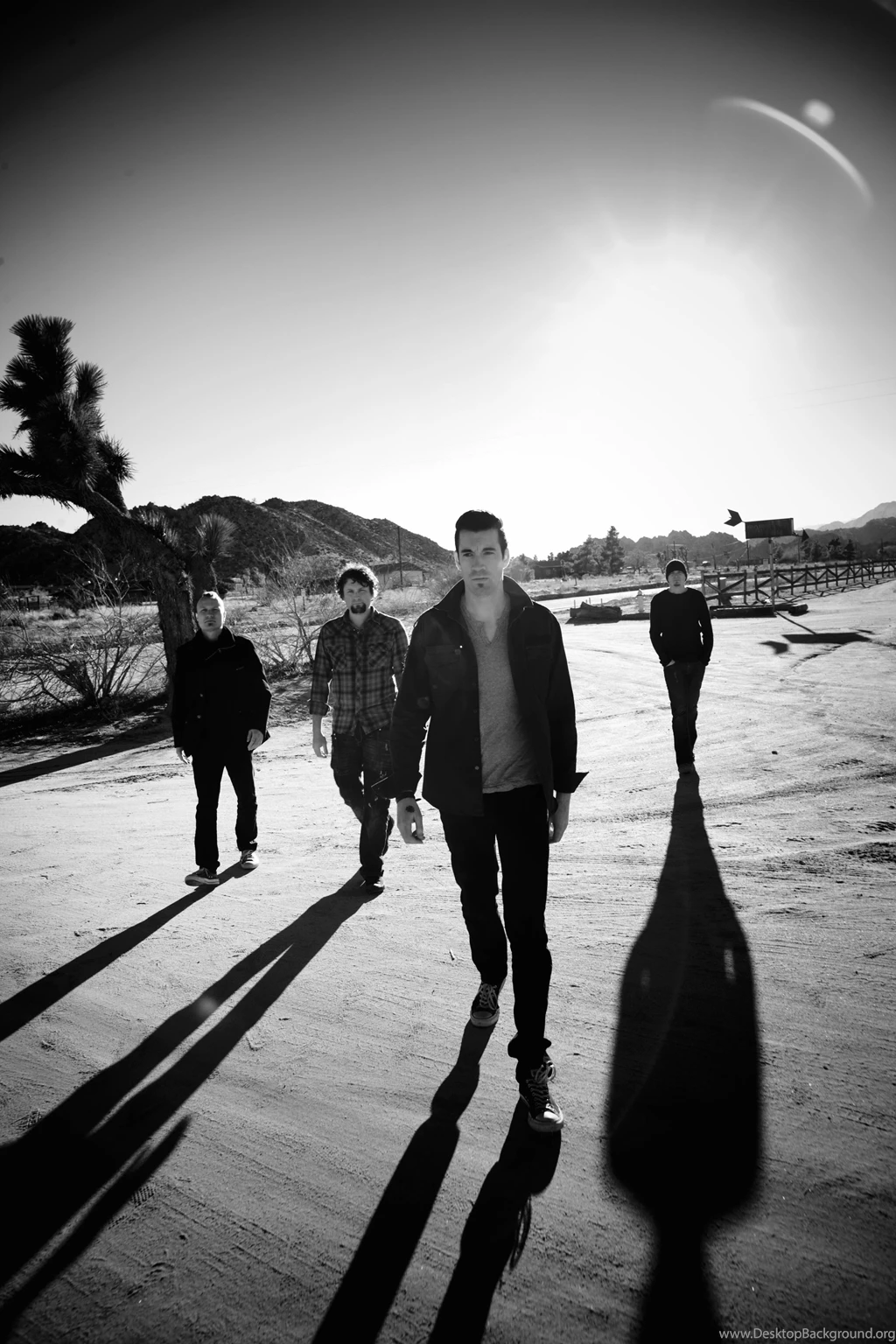 THEORY OF A DEADMAN – THE TRUTH IS….