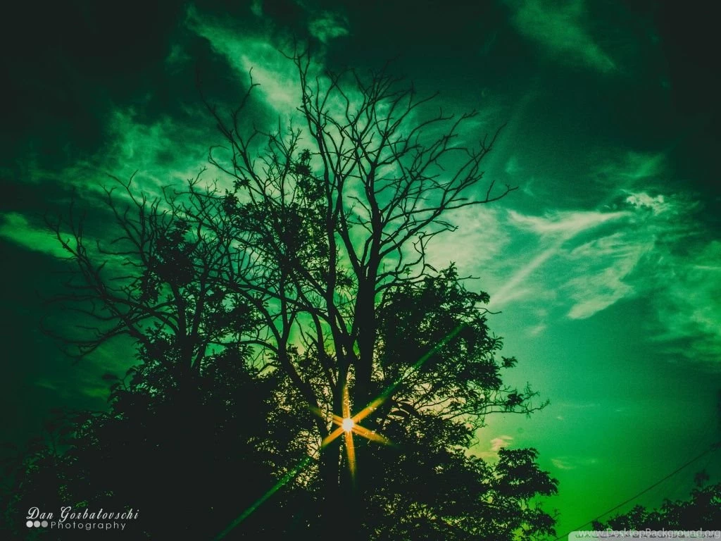 Theory Of A Deadman ( Better Or Worse ) HD Desktop Wallpapers ...