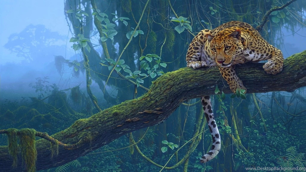 Leopard Wallpapers High Definition