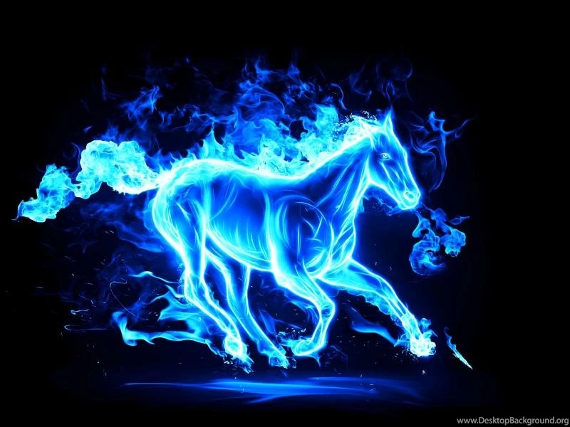 2014 New Year, Blue Abstract Horse Wallpaper,2014 HD Wallpaper,New ...