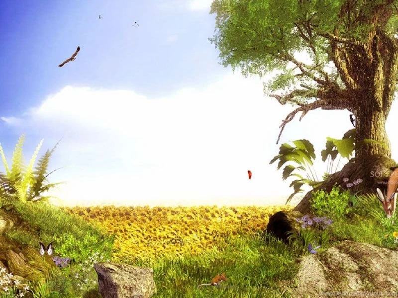 Awesome Display Animated Wallpapers