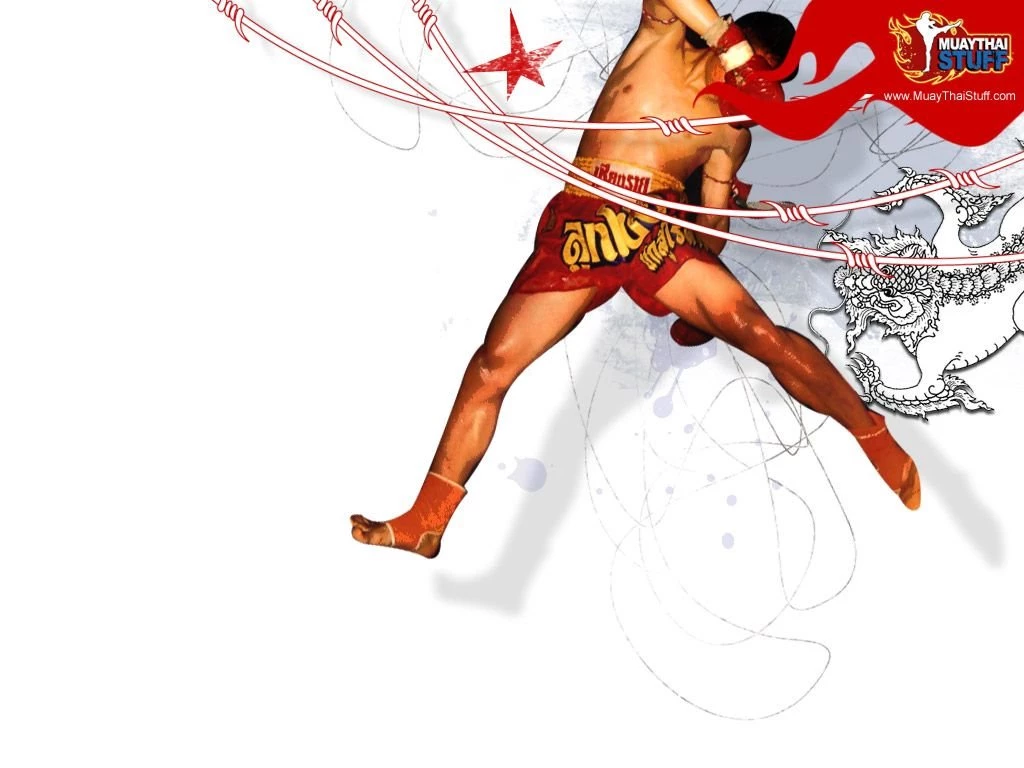 Four More Bad Ass Muay Thai Desktop Wallpaper Backgrounds