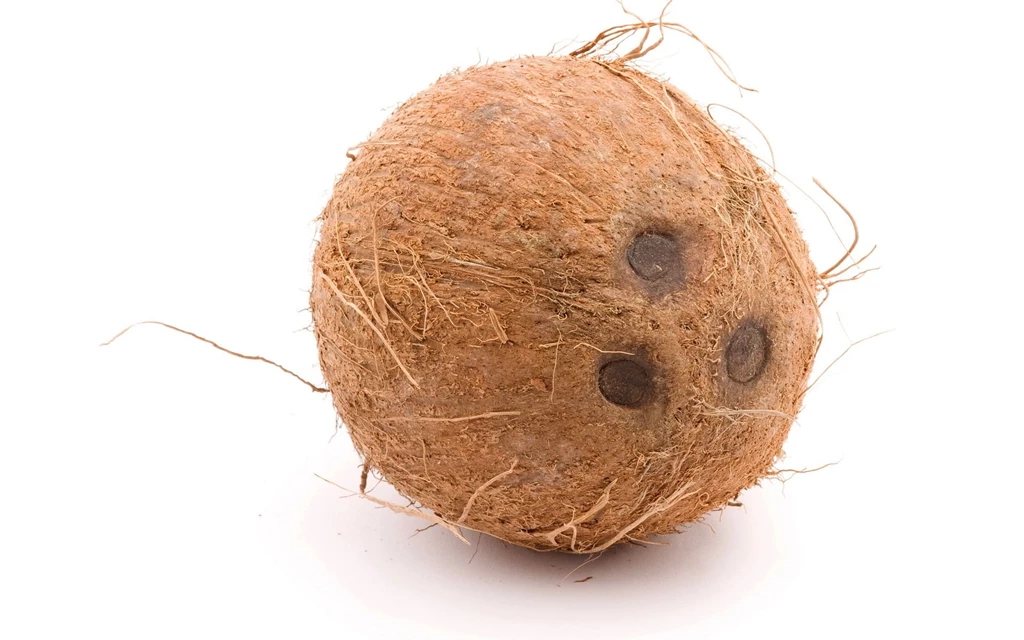 Coconut Computer Wallpapers, Desktop Backgrounds