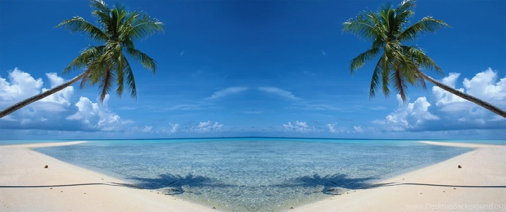 13701 just beachy coconut tree sky wallpaper background picture ...