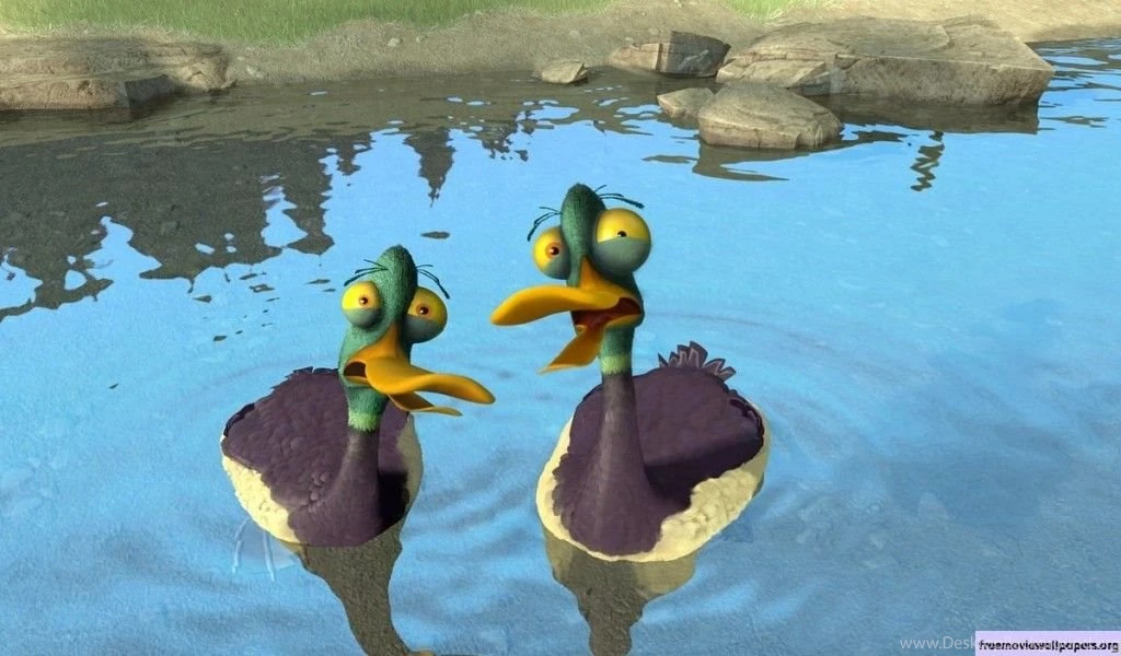 Open Season Cute Wallpapers