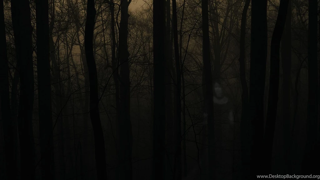 Gallery For Creepy Forest Backgrounds