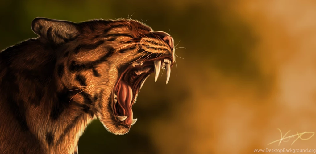 Wildcat Computer Wallpapers, Desktop Backgrounds